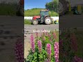 Grass cutting #grasscutting #farming #agriculture #shorts #farmmachinery #hardworkworks