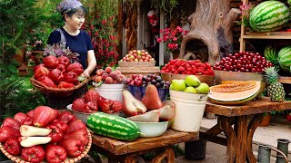 Harvesting ROI Fruit Goes to market sell - Animals Care | New Free Bushcraft