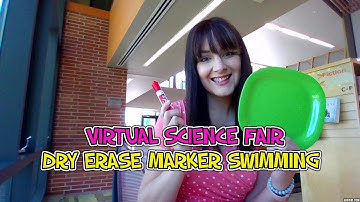 The Virtual Science Fair presents... Dry Erase Swimming