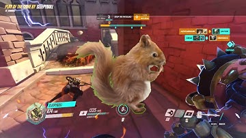 I paid an editor $50 and this is what he did