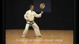 Chon - Ji Tul Taekwon-do Estilo ITF