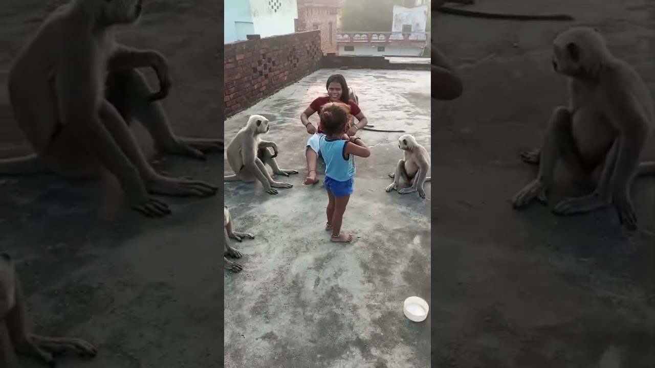 स्वर्ण की लंका जली नाही कुस की कुटिया जली