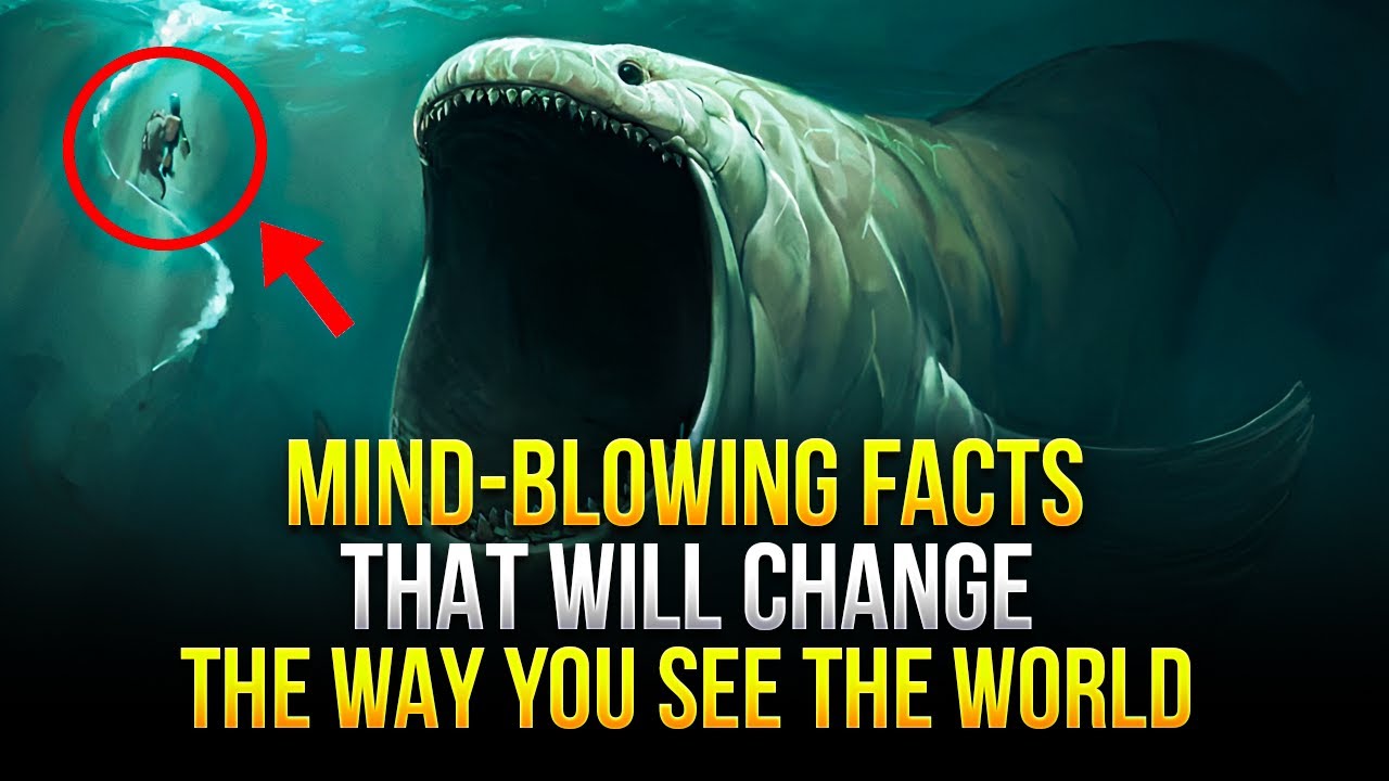 MindBlowing Facts That Will Change the Way You See the World YouTube MindBlowing Facts That Will Change the Way You See the World YouTube