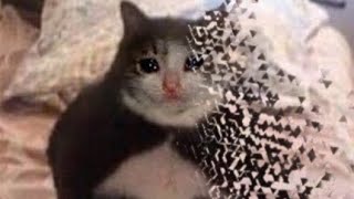 Memes That Dont Spoil Endgame