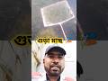 গুড়া মাছ চছ*চরী☺️ #fish #kolamikan #fishing #happy #nice #video #thankyou 🎁