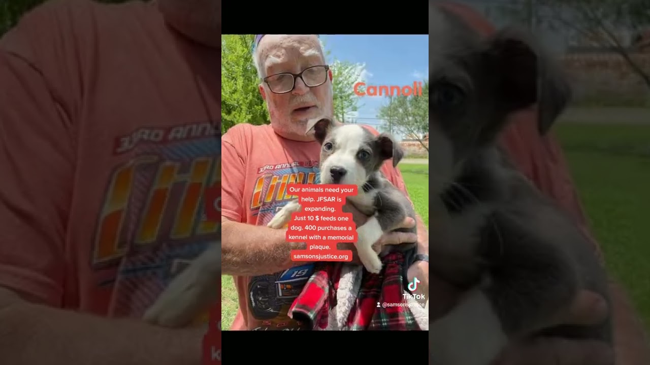 please consider a tax deductible donation. just 10 dollars buys a dog