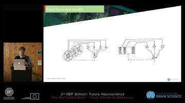 De Vries Saskia - Functional Physiology of the mouse virtual cortex