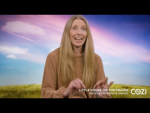 Little House Cast Interviews | Wendi Turnbaugh (Lou Lee) | BABY GRACE | COZI TV