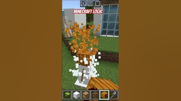 New Minecraft logical shorts video #minecraft #trending #viralshort #video
