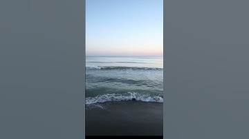 Thumbnail of Ocean Breeze 🦭#nature #peace #love