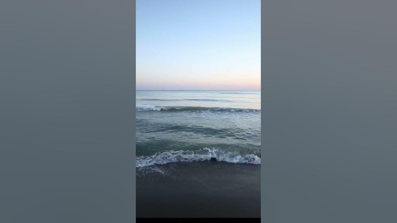 Ocean Breeze 🦭#nature #peace #love
