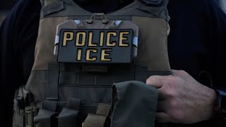 DeKalb County commissioner calls for removal of tactical ICE operations following MN shooting