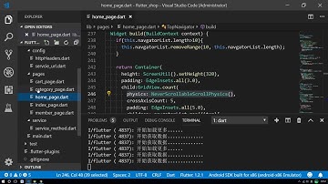 Flutter实战视频-移动电商21 21 分类页 类别信息接口调试