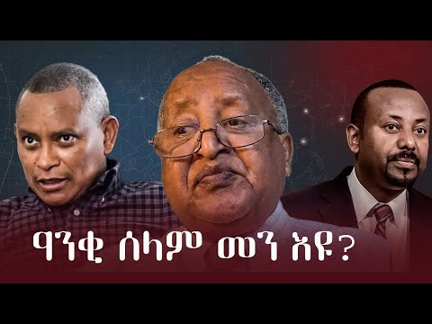 ዓንቂ ሰላም መን እዩ | ዶር ገላውዴዎስ ኣርኣያ