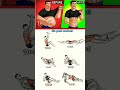 Best home workout for abs and belly fat without equipment for beginners #abs #bellyfat #motivation
