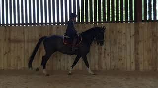 Rio - Flat schooling