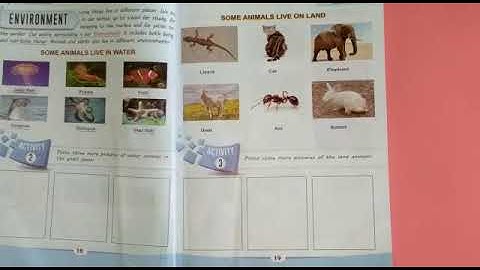 PVI SCIENCE LESSON # 24 (PART-2) CHP#2 ACTIVITY 3 & 4 Dated:12/6/2020