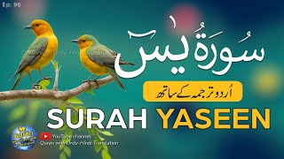 Surah Yaseen / Yasin Tarjuma ke sath | Tilawat | Episode 96 | Quran with Urdu Translation