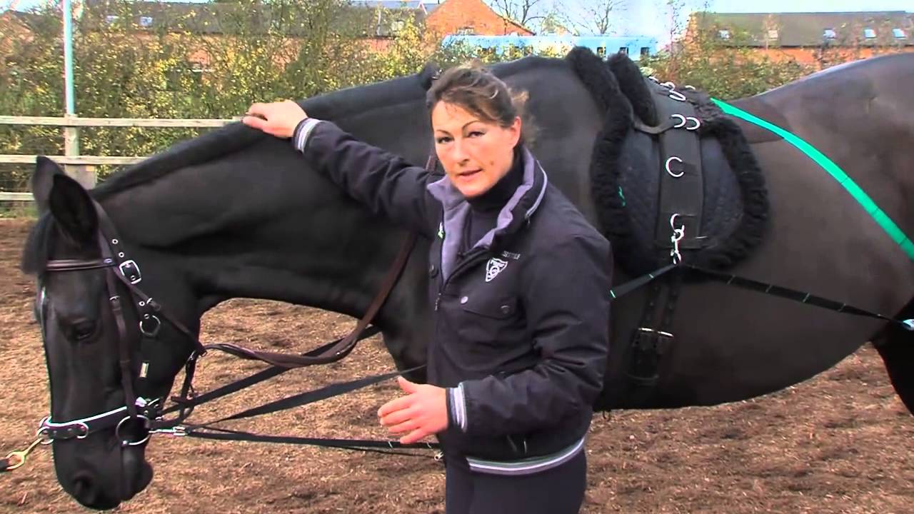 Instinctive Horse Training Lunging Reins YouTube