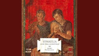 Video thumbnail of "Synaulia - Pompei"