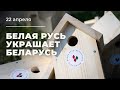 Белая Русь украшает Беларусь