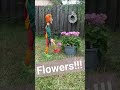 Joker in the garden #marionette #flowers #garden