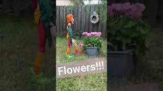 Joker in the garden #marionette #flowers #garden