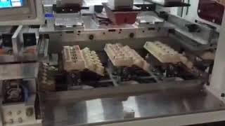 egg cartons automatic pad printing machine