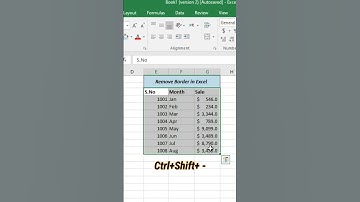 how to remove border in excel #shorts #excel #shortcut