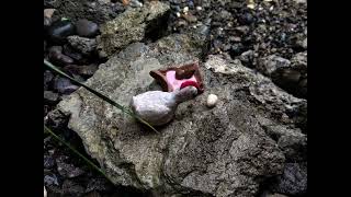Stop-Motion Animation(Claymation): The Missing Egg 