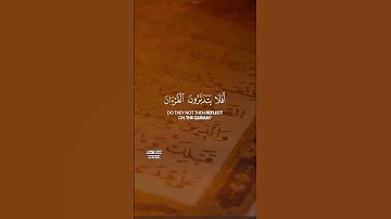 أفلا يتدبرون القرأن / سورة محمد / صوت يرقق القلب 🤍