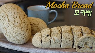 [Mocha Bread]커피향 솔솔나는 모카빵