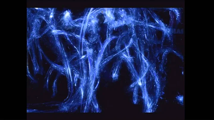 Liquid light painting: Patrick Rochon at TEDxTrast...