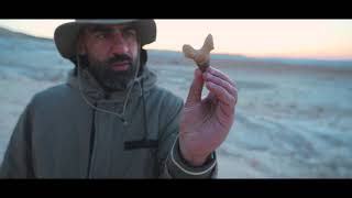 Paleontology tour in Mangystau, Kazakhstan