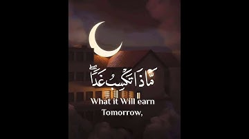 تلاوة قرانيه تريح القلب والنفس من سورة الذاريات بصوت الشيخ اسلام صبحي #motivation #cat #poetry #ba