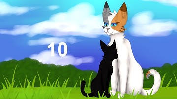 Warriors OC PMV MAP - Somewhere only we know DONE (EDITING)