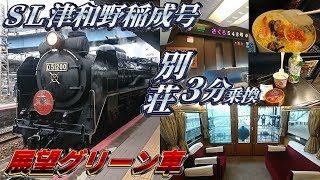 元日・JR西日本乗り放題きっぷの旅2019 SLと遅延と忘却編