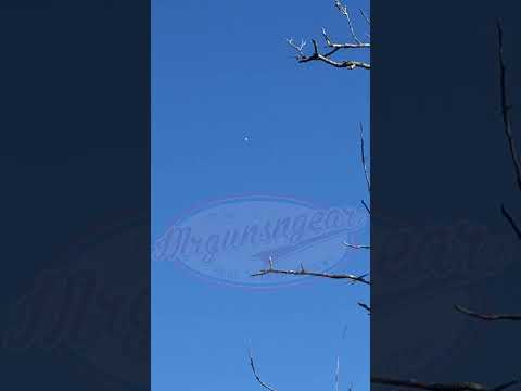 Chinese Spy Balloon Over South Carolina #shorts