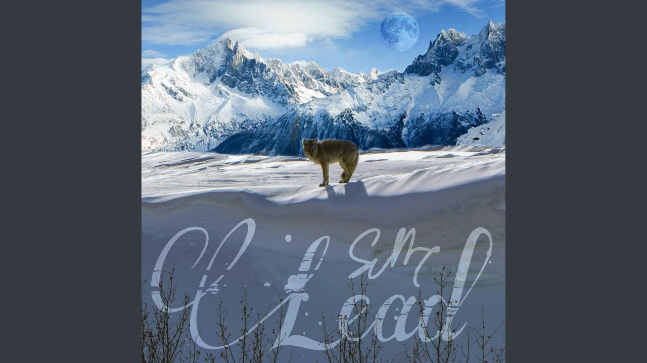 YouTube에서 Cry Wolf 보기 YouTube에서 Cry Wolf 보기