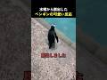 水槽から脱出したペンギンの可愛い反応