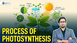 Process of Photosynthesis | Target CSIR NET Life Science June 2024 | IFAS