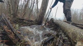 А у нас Весна! Поможем воде преодолеть Бобровую плотину. День 2.