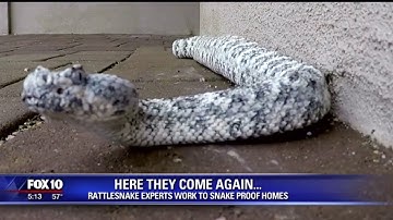 Homeowners Look to Snake Fencing to Keep Rattlesnakes Out