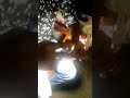 New way of scientist... Sajo the light Man