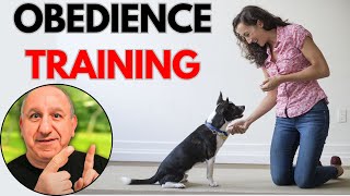 Can Training Solve Your Dog's Bad Behaviours? by Saro Dog Training 538 views 2 months ago 10 minutes, 1 second