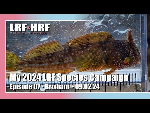 Episode 07: My