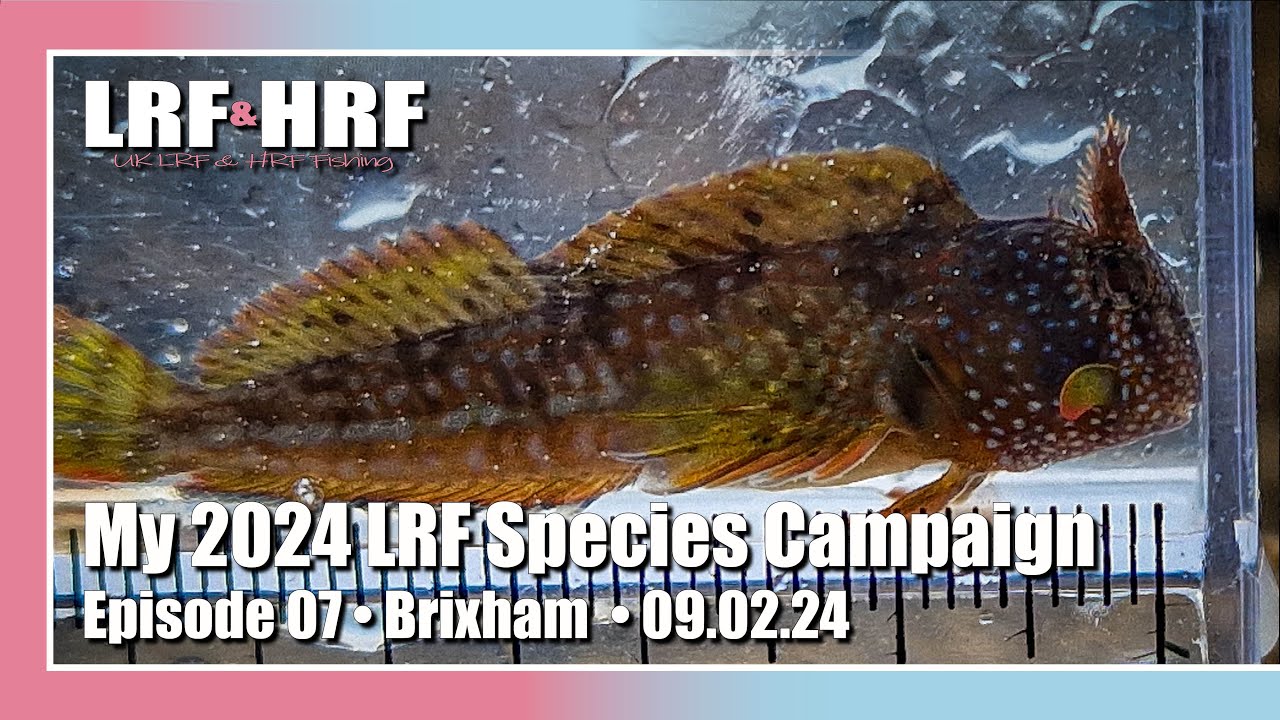 Episode Seven: My 2024 LRF Species Hunt - Brixham 