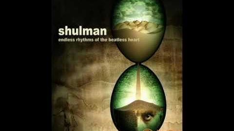 Shulman - Odd Reflections