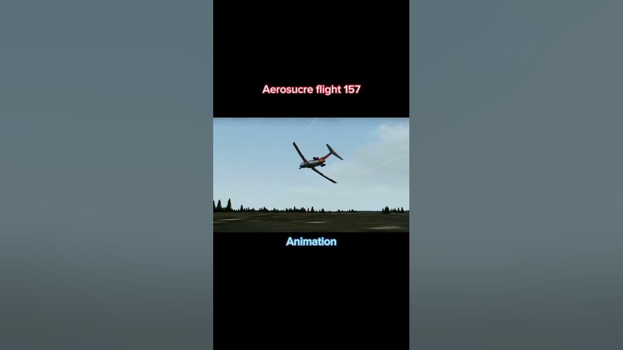 Plane crashes Animation vs Real life part 4 #planecrash #viral