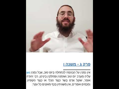Beitzah Chapter 3 - Youtube